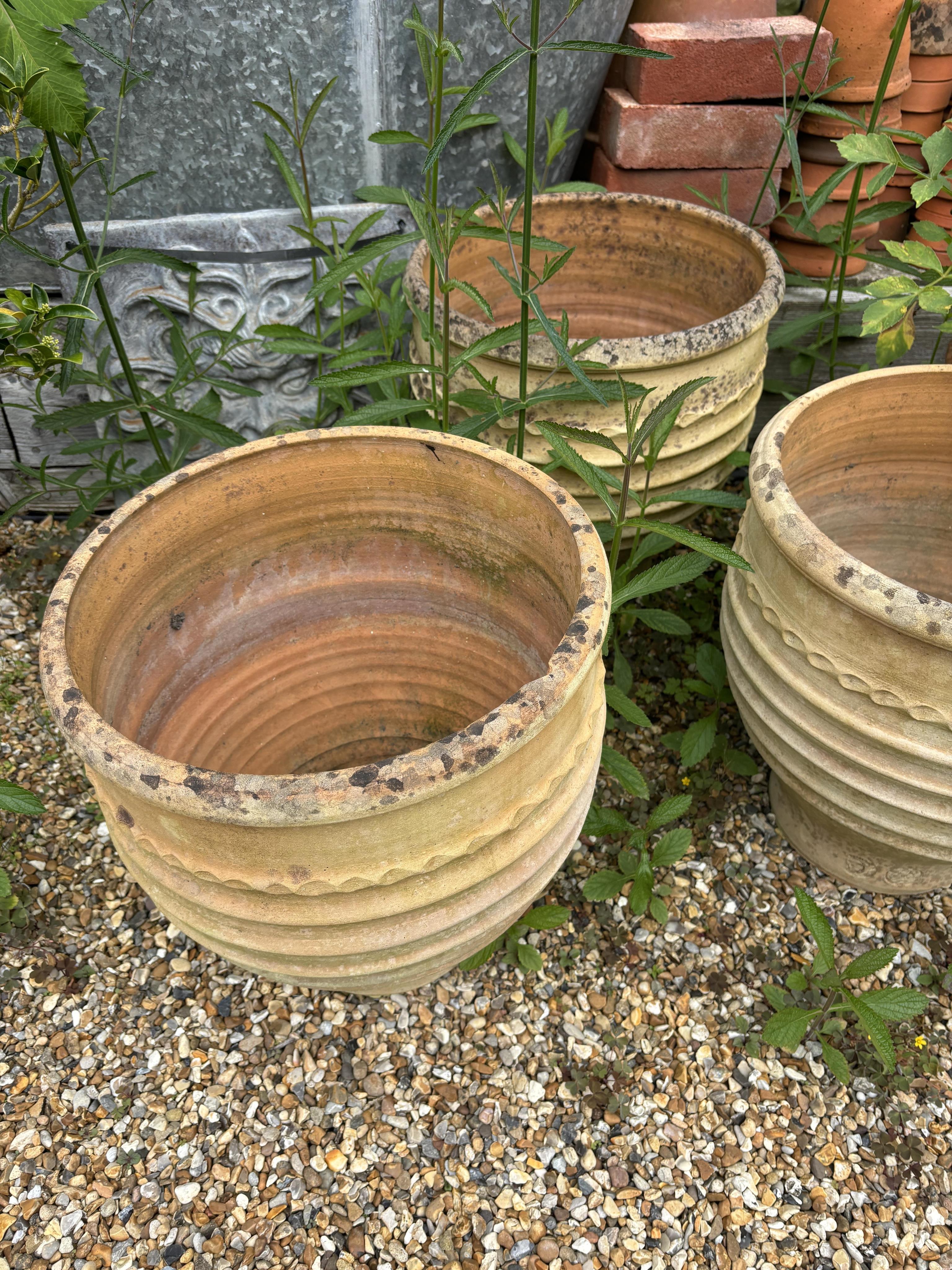 A set of four Minos Italian style terracotta planters, height 35cm, depth 40cm, and a pair of similar planters, planting removed. Condition - weathered, otherwise good